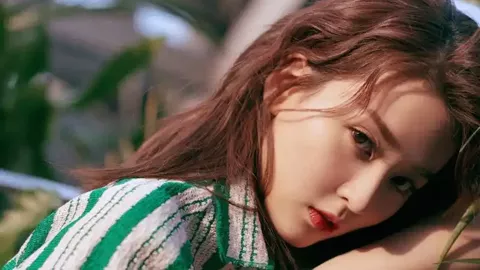 肯尼亚网红大象