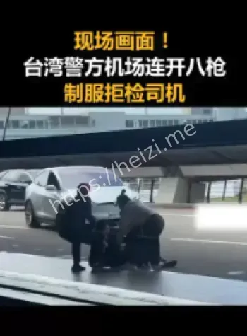 台湾桃园机场特斯拉拒检事件
